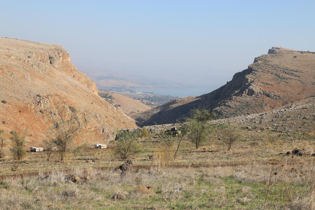 Switzerland In The Arbel Hostal Habitación foto