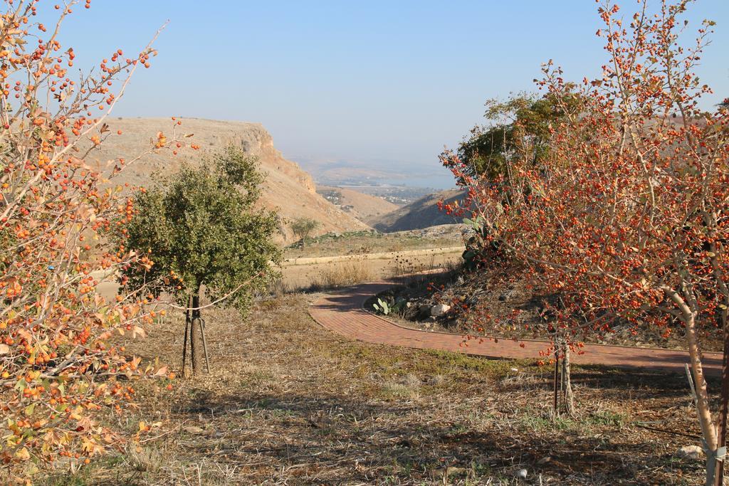 Switzerland In The Arbel Hostal Exterior foto